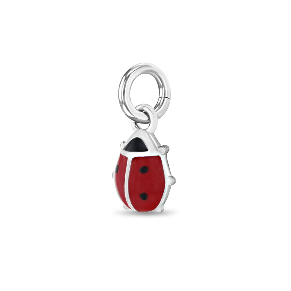 Ladybug