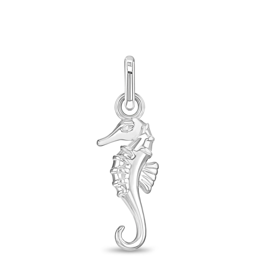 Seahorse