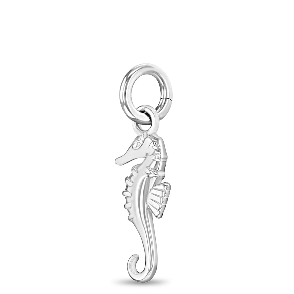 Seahorse