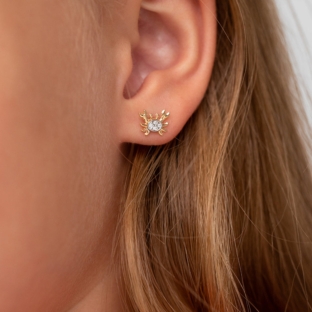 14k Gold Curious Crab Kids / Children's / Girls Earrings Safety Screw Back