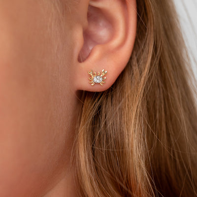 14k Gold Curious Crab Kids / Children's / Girls Earrings Safety Screw Back